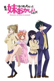 Saikin, Imouto no Yousu ga Chotto Okashiinda ga