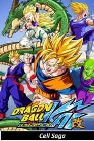 Dragon Ball Kai 4 Temporada Online