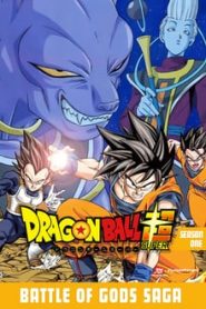 Dragon Ball Super 1 Temporada Online