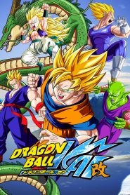 Dragon Ball Kai Dublado