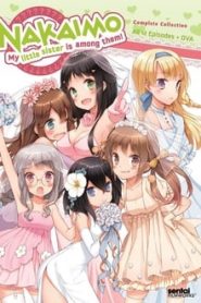 Kono Naka ni Hitori, Imouto ga Iru!