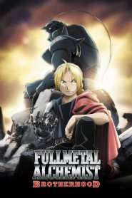 Fullmetal Alchemist: Brotherhood Dublado