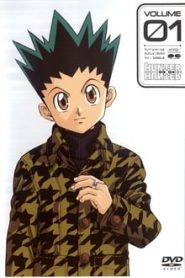 Hunter x Hunter 1 Temporada Online