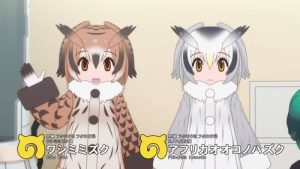 Kemono Friends 2 Episodio 6
