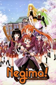 Mahou Sensei Negima