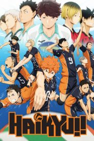 Haikyuu!! Todos os Episodios Online