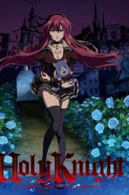 Holy Knight 1 Temporada Online