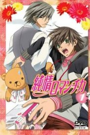 Junjou Romantica 1 Temporada Online