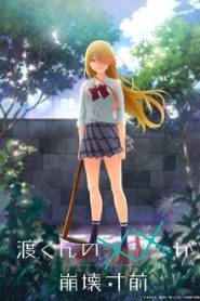 Watari-kun no xx ga Houkai Sunzen 1 Temporada Online