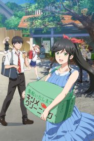 Kirei ni Shitemoraemasu ka